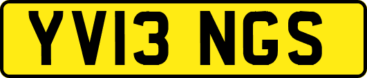YV13NGS