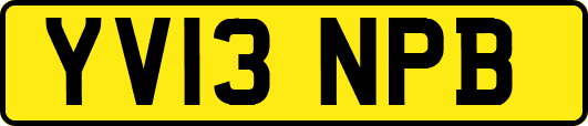 YV13NPB