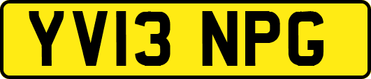 YV13NPG