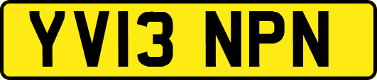 YV13NPN
