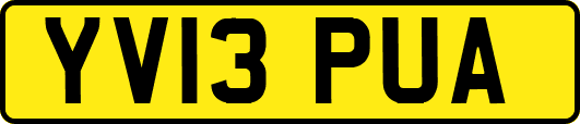 YV13PUA