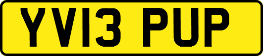 YV13PUP