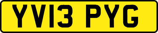 YV13PYG