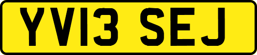 YV13SEJ