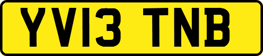 YV13TNB