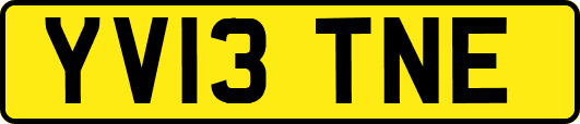 YV13TNE