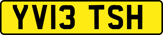 YV13TSH