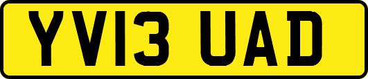 YV13UAD