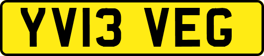 YV13VEG