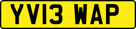 YV13WAP