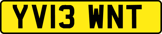 YV13WNT