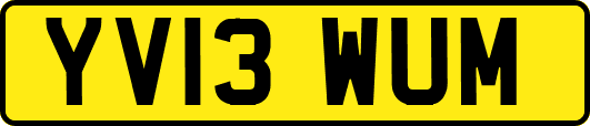 YV13WUM