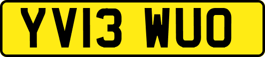 YV13WUO