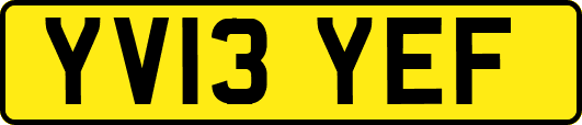 YV13YEF
