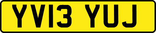 YV13YUJ
