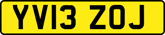 YV13ZOJ