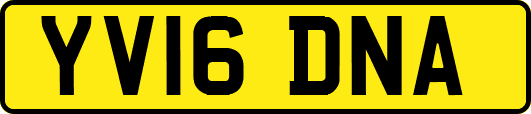 YV16DNA