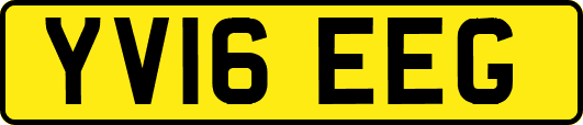 YV16EEG