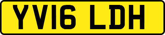 YV16LDH