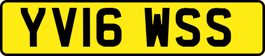 YV16WSS
