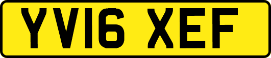 YV16XEF