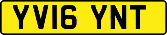 YV16YNT