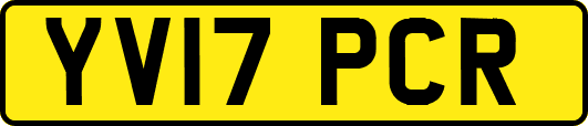 YV17PCR