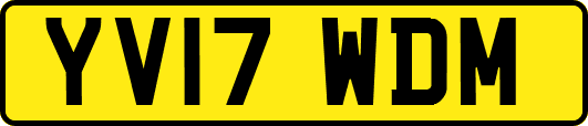 YV17WDM