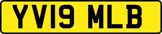 YV19MLB