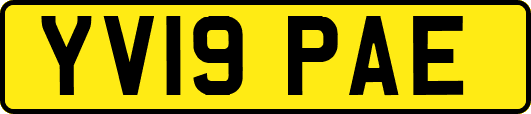 YV19PAE