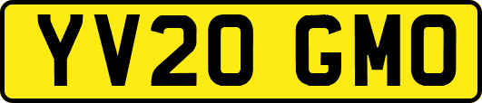 YV20GMO