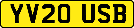 YV20USB