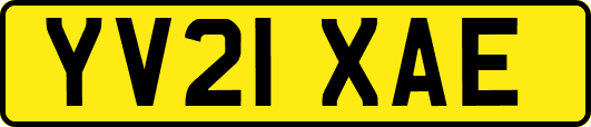 YV21XAE