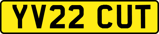 YV22CUT
