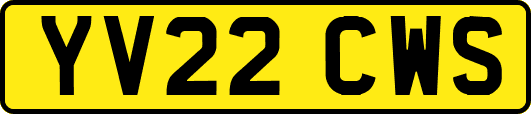 YV22CWS