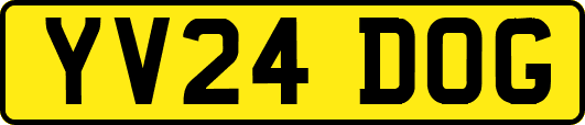 YV24DOG