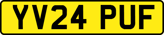 YV24PUF