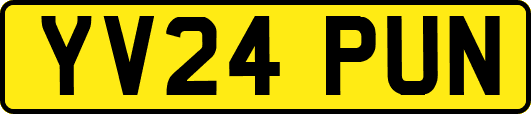 YV24PUN