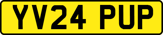 YV24PUP