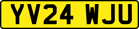 YV24WJU