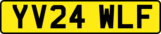 YV24WLF