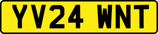 YV24WNT