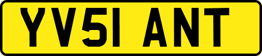 YV51ANT