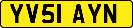 YV51AYN