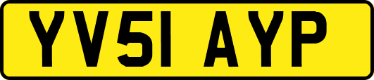 YV51AYP