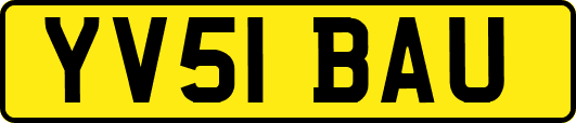 YV51BAU