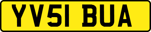 YV51BUA