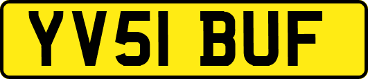 YV51BUF