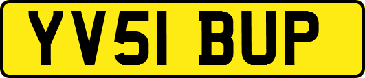 YV51BUP