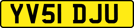 YV51DJU